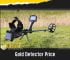 GOLD DETECTOR PRICE