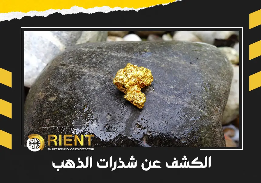 الكشف عن شذرات الذهب