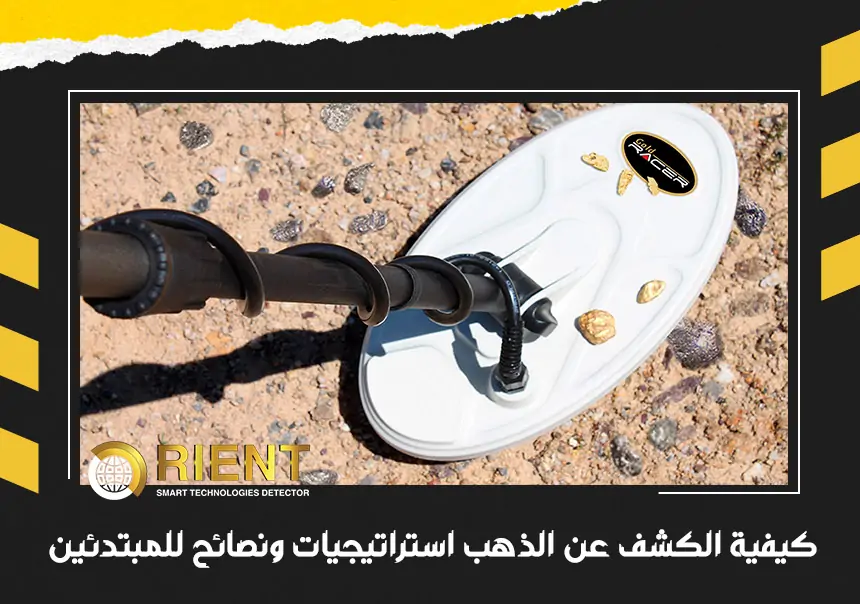 كيفية الكشف عن الذهب؟ استراتيجيات ونصائح للمبتدئين